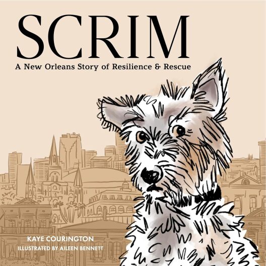 “Scrim” by Kaye Courington